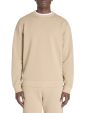 Sweat regular col rond 100% coton - beige