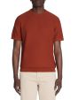 T-shirt straight col rond 100% coton - marron