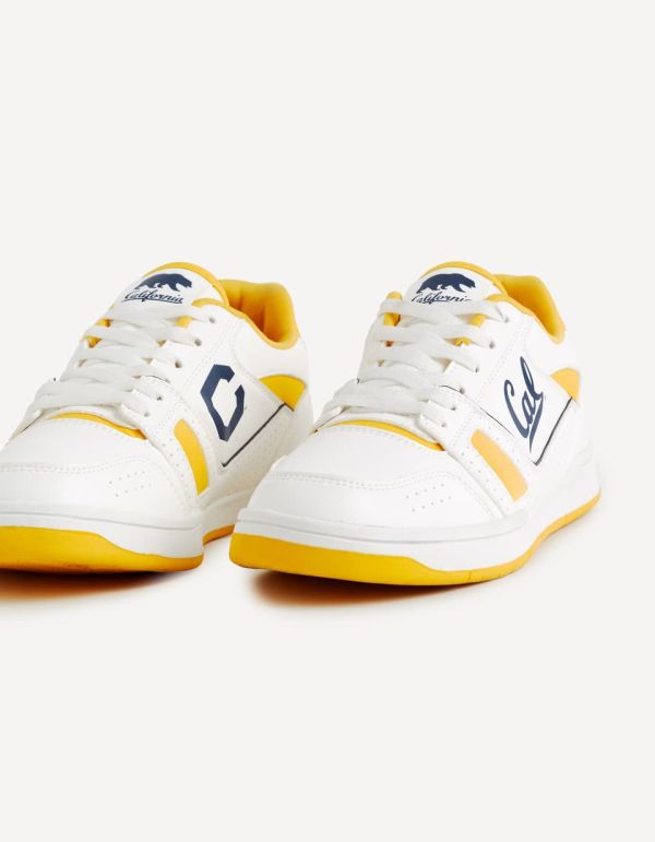 Baskets University of California