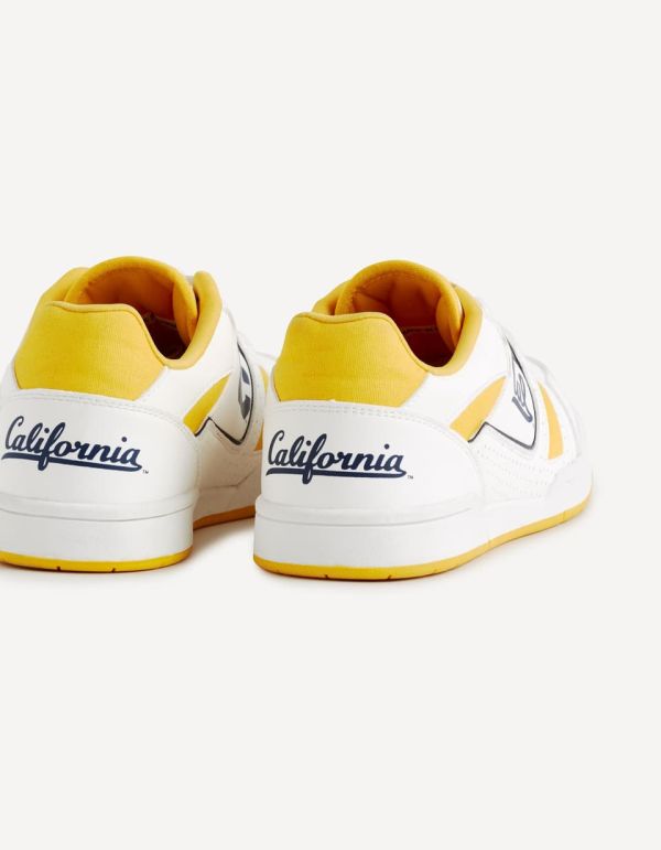 Baskets University of California