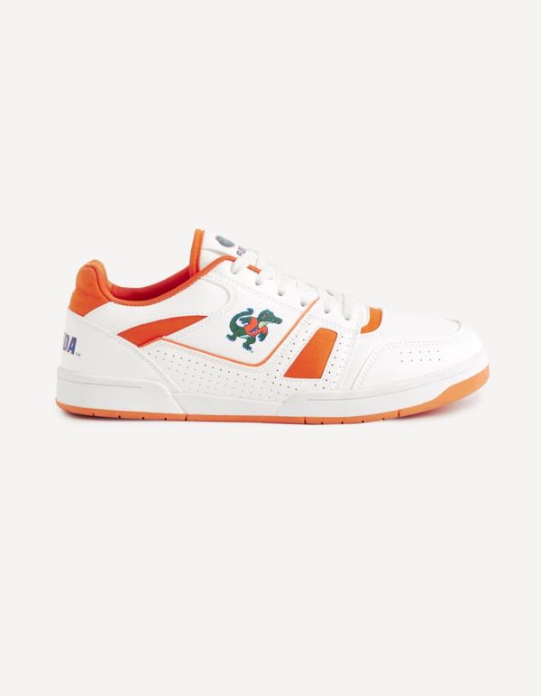 Baskets University of Florida