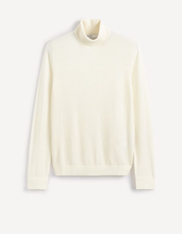 Pull col roulé 100% laine mérinos extra fin