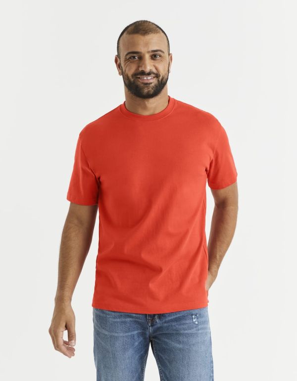 T-shirt parfait col rond 100% coton