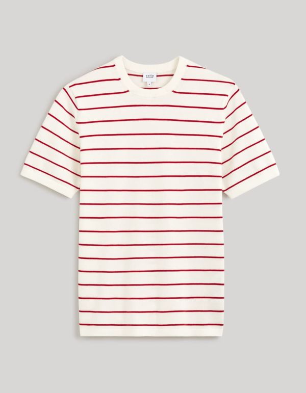 T-shirt col rond 100% coton - écru