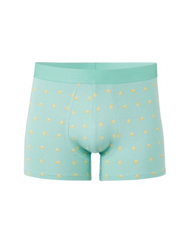 Boxer imprimé - vert